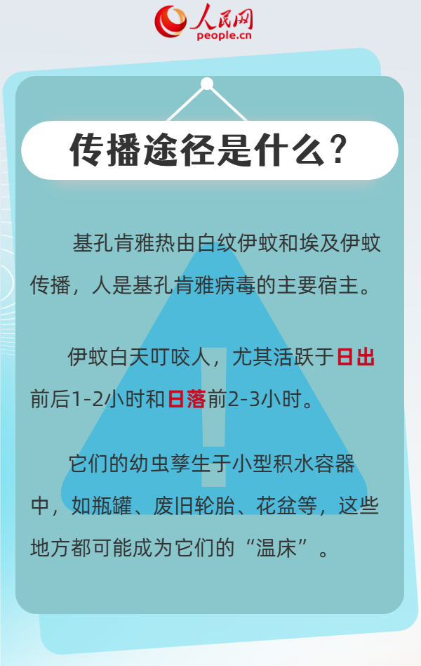 【四川有没有基孔肯雅热/基孔肯尼亚热】