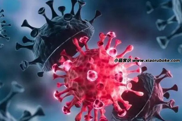 2022年还会有新冠病毒吗/今年还会有新冠肺炎吗