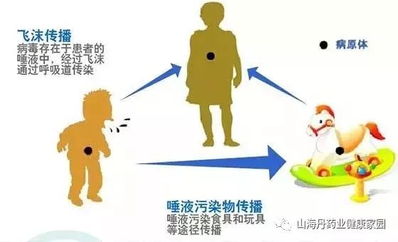 基孔肯尼亚热潜伏期会传染吗/基孔肯尼亚病毒怎么治疗