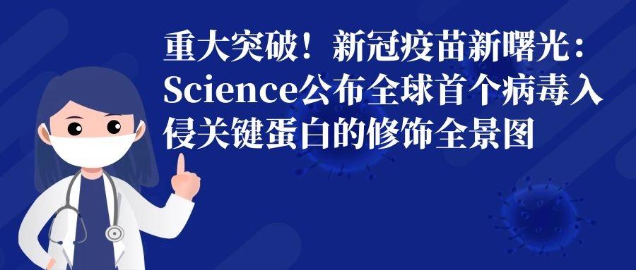 新冠病毒何时真正结束？科学预测与人类应对的全景解析