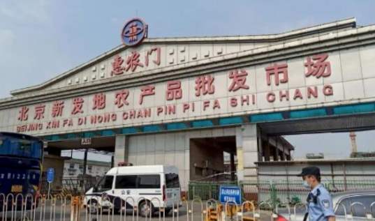 武汉疫情啥时候开始的/武汉的疫情是从什么时间开始爆发出来