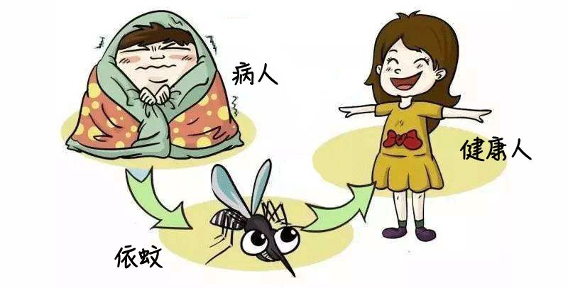 【基孔肯尼亚与登革热人传人吗,基孔肯尼亚病毒图片】