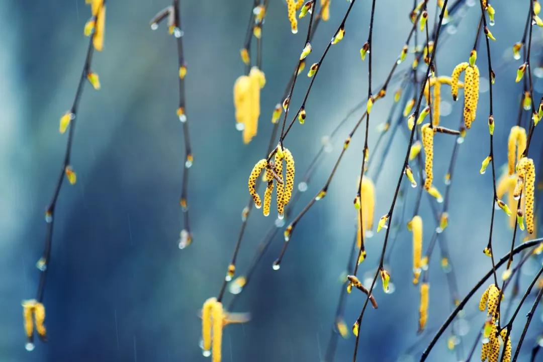 疫情算不算过去了:疫情算不算过去了呢