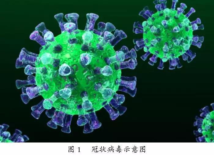 新冠病毒何时结束?新冠状病毒什么时候结束?