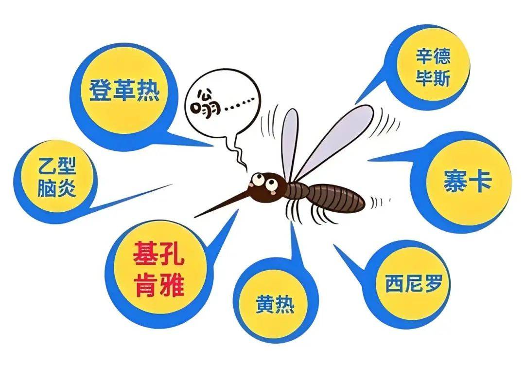 【广州基孔肯尼亚热传播途径,基孔肯尼亚与登革热】