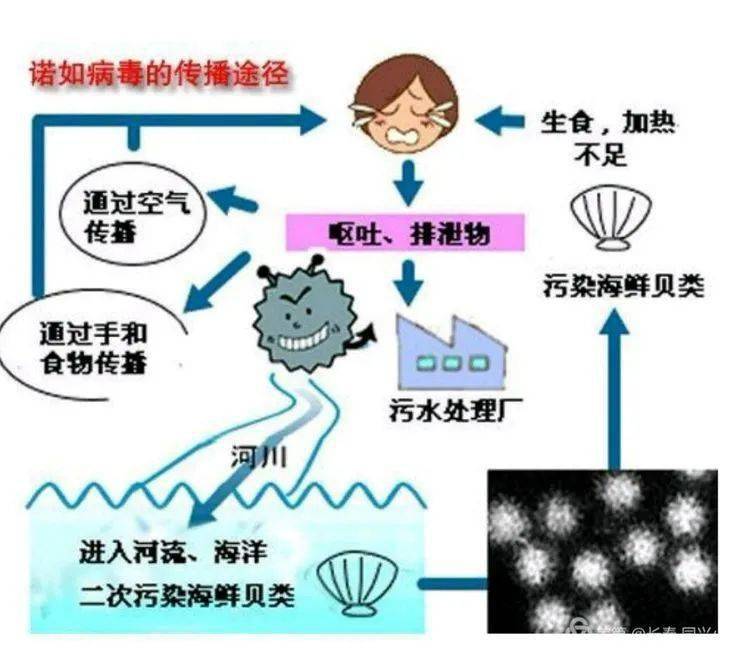 基孔肯尼亚热传播途径?/基孔肯尼亚病毒怎么治疗