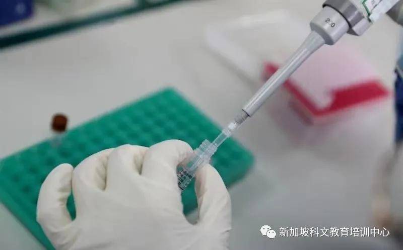 2025年又重启核酸了吗:这次的病毒吃什么药好得快