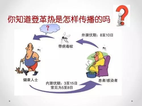 【登革热会传染人吗,得了登革热会传染人吗】