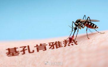 基孔肯雅热疫情防控严峻（基孔肯尼亚病毒图片）