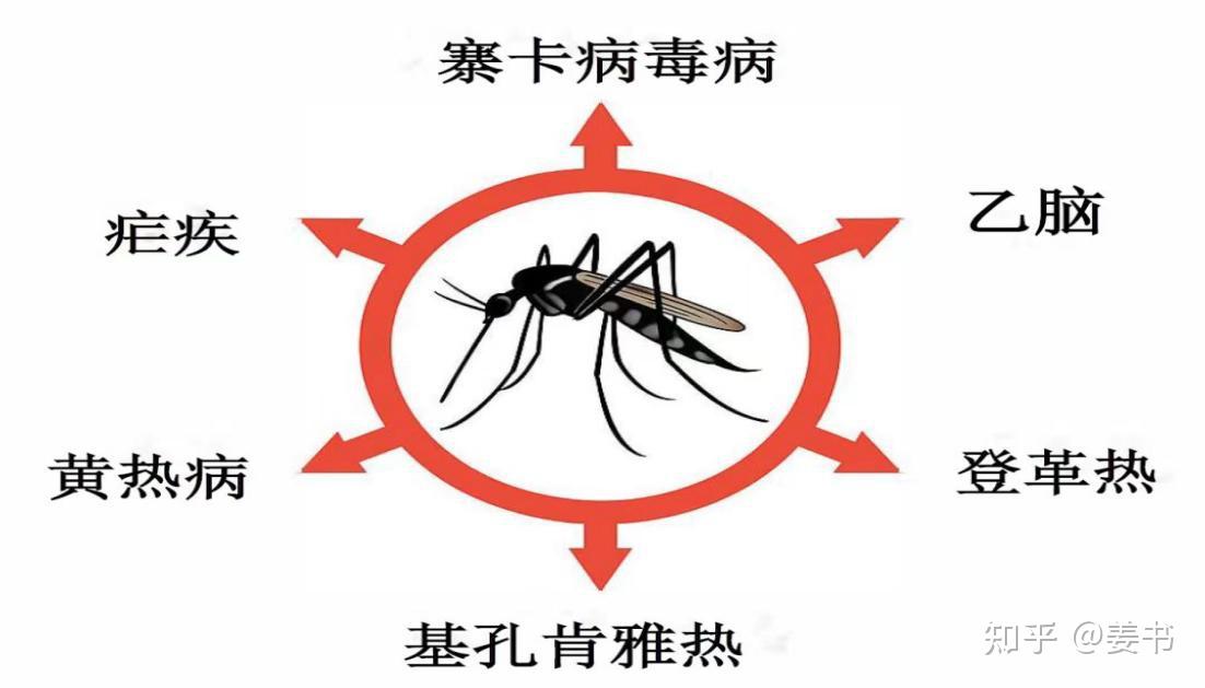广东基孔肯雅热疫情得到遏制/基孔肯尼亚热