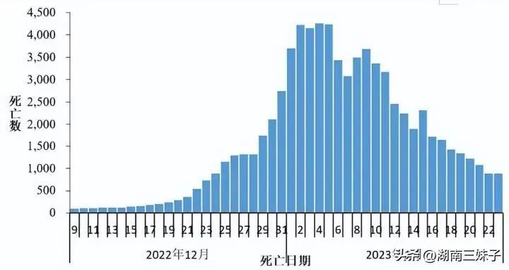 【新冠疫情中国死亡人数总数是多少,中国新冠疫情截至目前死亡人数是多少】