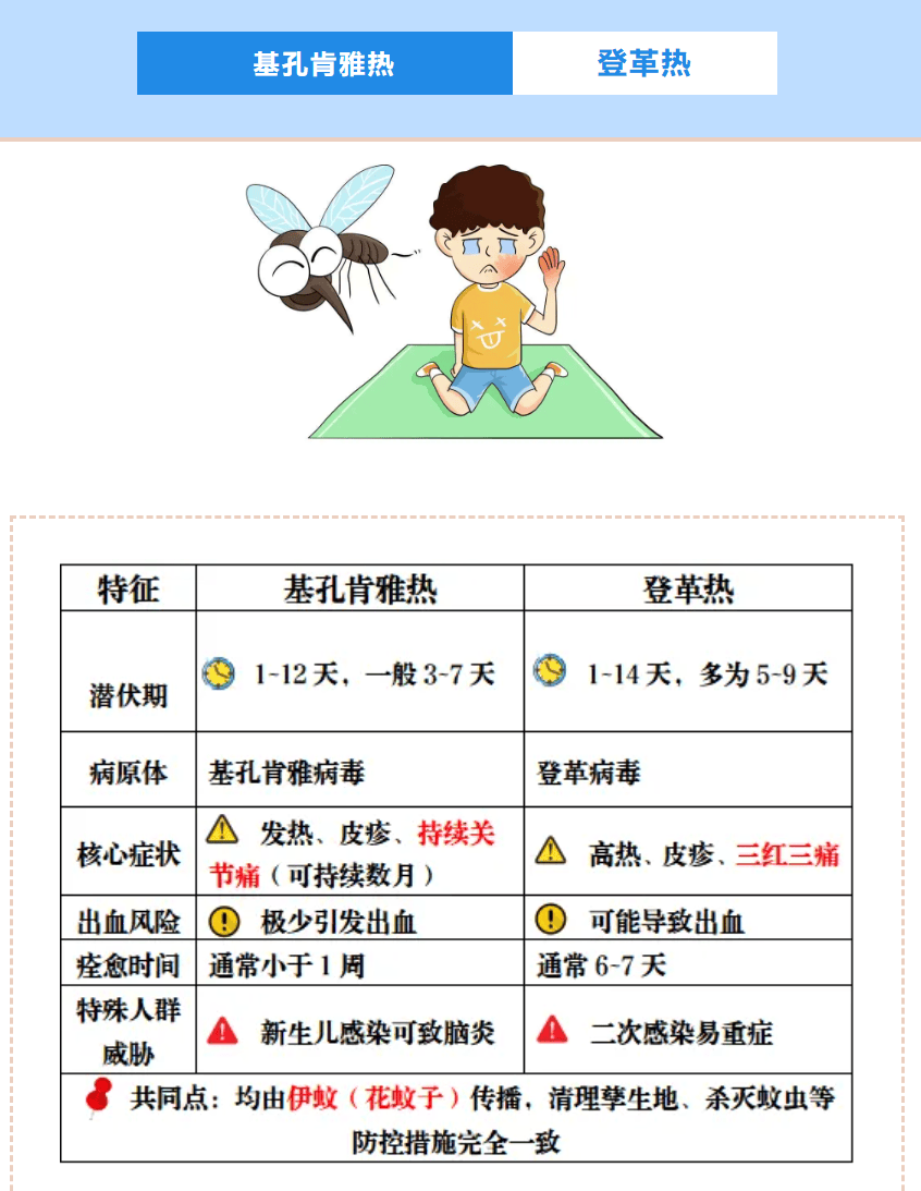 【基孔肯尼亚热预防措施台账/基孔肯尼亚病毒的临床表现】