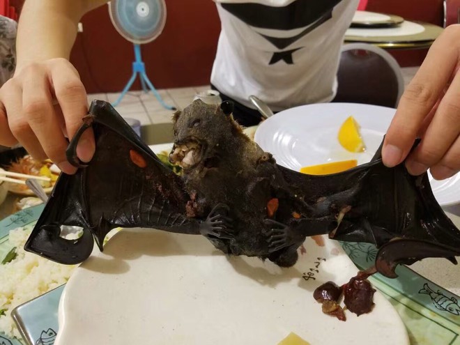 【新冠吃蝙蝠的人是谁,新冠是有人吃蝙蝠?】