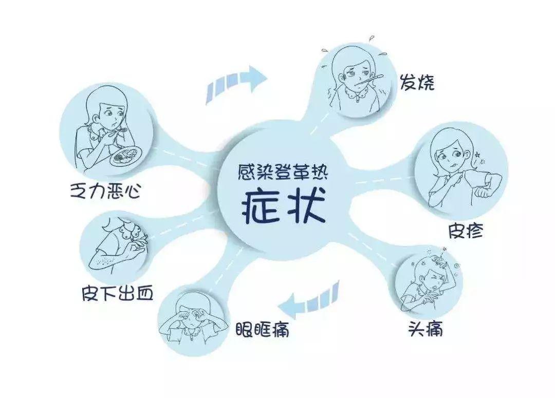 基孔肯尼亚热潜伏期通常为/基孔肯尼亚与登革热