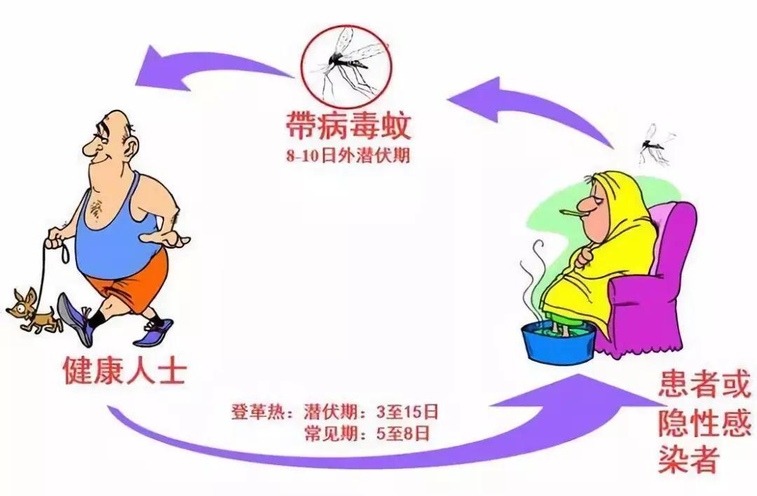 基孔肯尼亚热潜伏期通常为/基孔肯尼亚与登革热