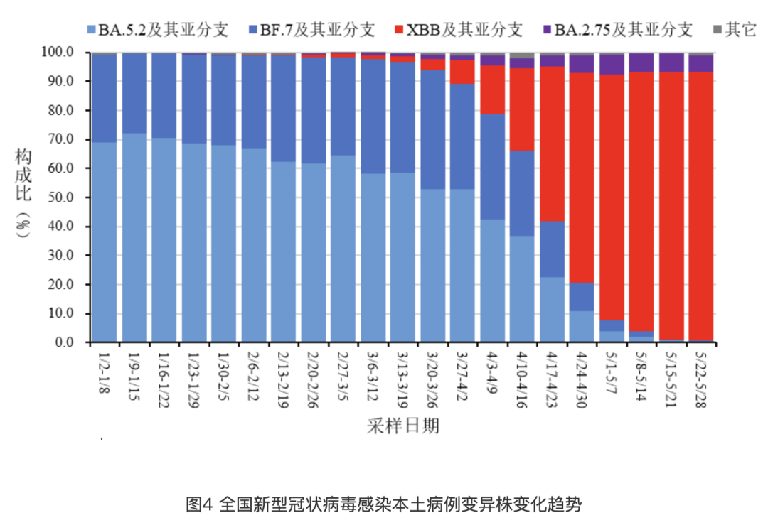 【2025年7.月新冠感染/新冠到2025年】