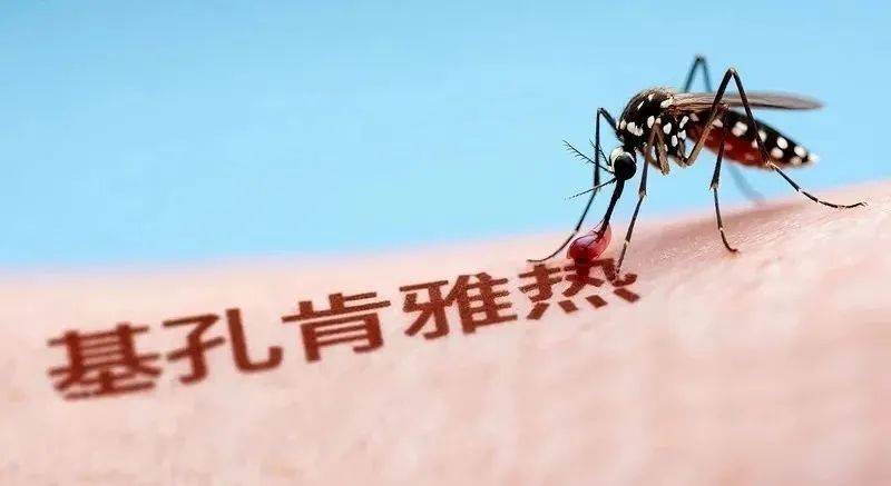 基孔肯尼亚热最新消息佛山:基孔肯尼亚病毒的临床表现