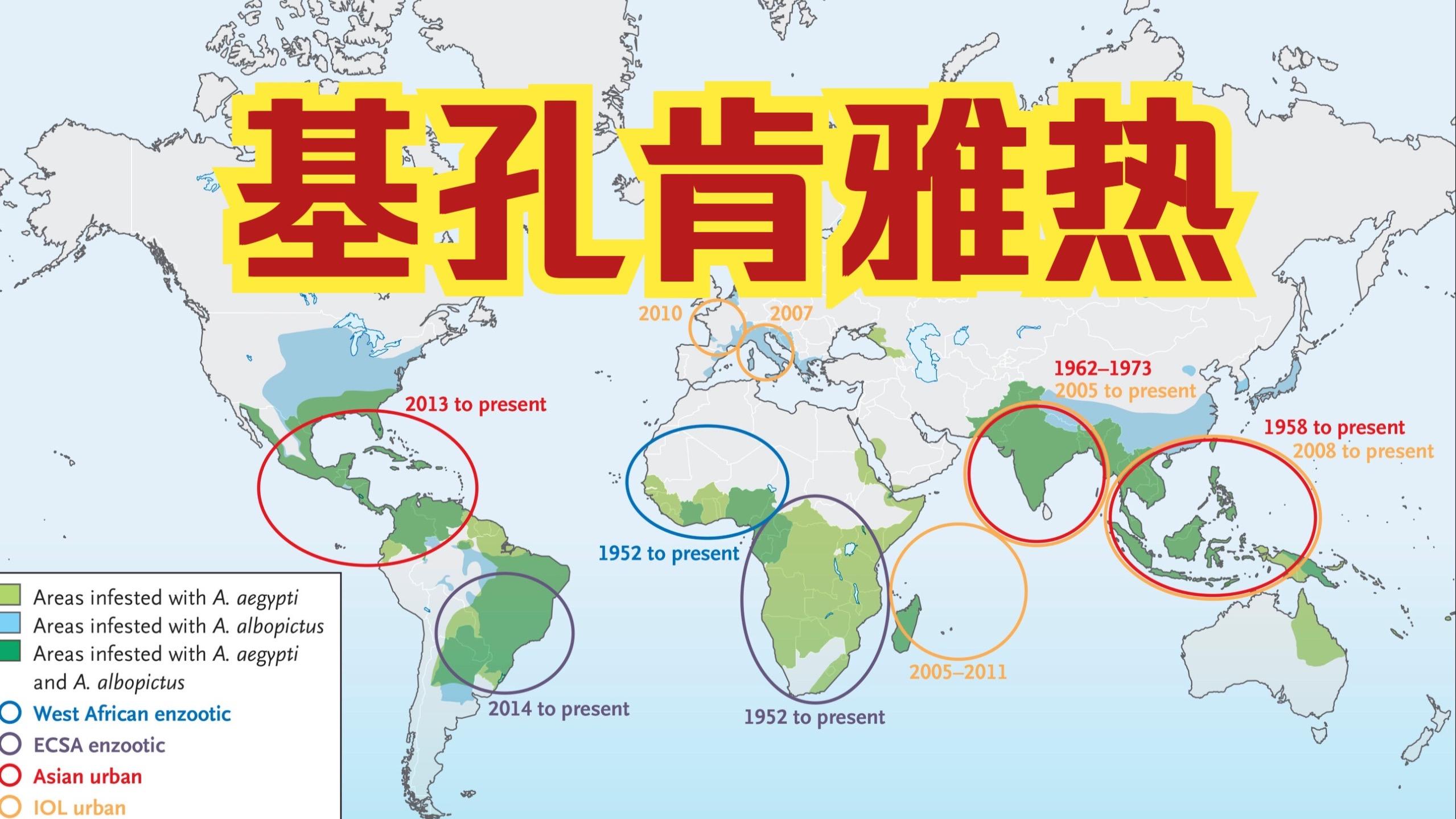 浙江基孔肯尼亚热最新消息:浙江基尼垭服饰有限公司