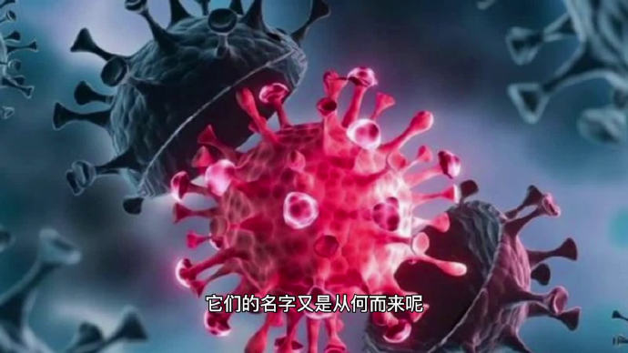 新冠病毒是谁带来的?/新冠病毒是谁发明出来的