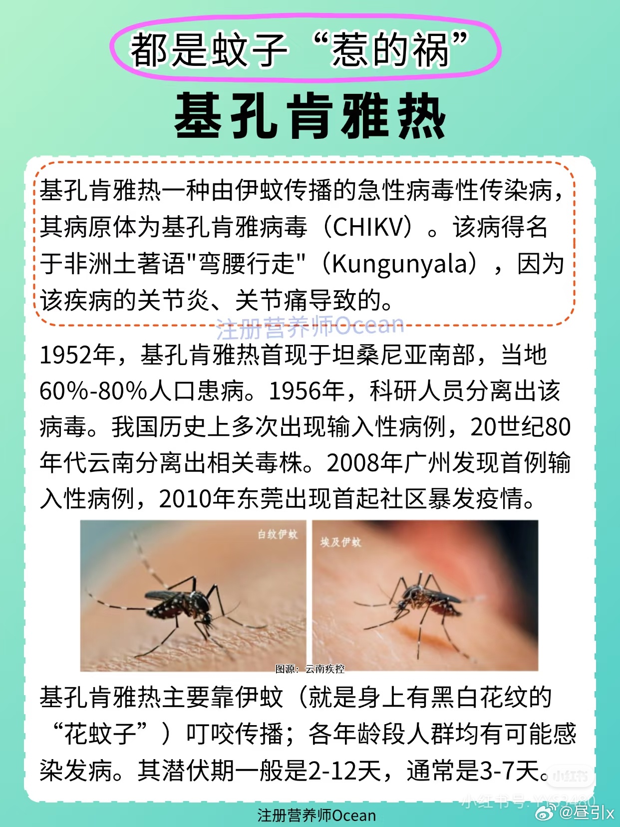 广东基孔肯雅热疫情已现:基孔肯尼亚病毒感染症状