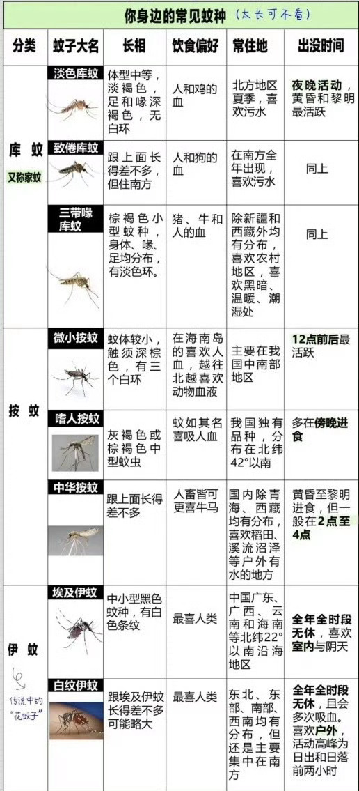 【广东疫情蚊子种类,广东蚊子病毒】