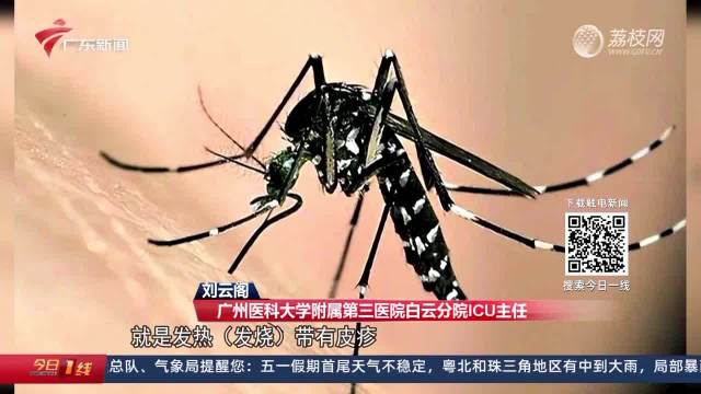 【广东疫情蚊子种类,广东蚊子病毒】