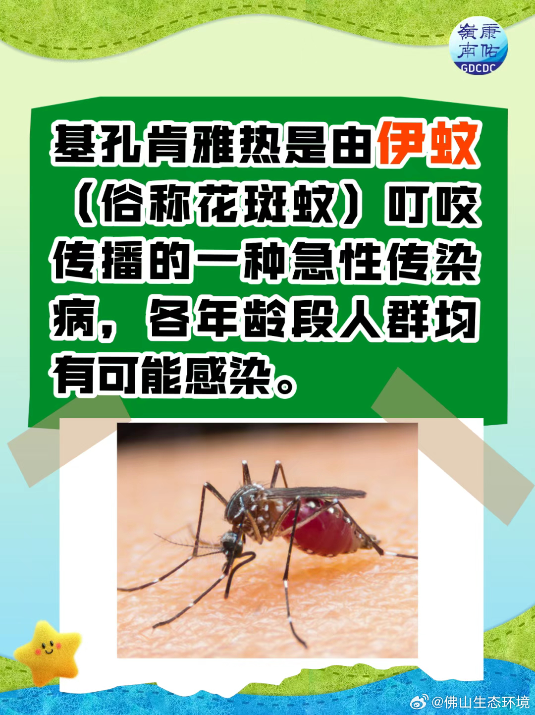 包含深圳有基孔肯雅热病毒吗的词条