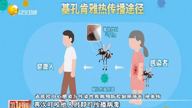 包含深圳有基孔肯雅热病毒吗的词条