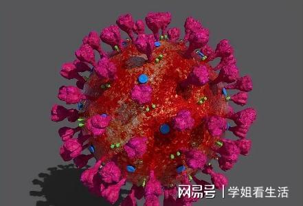 新冠什么时候开始什么时候结束（新冠到底什么时候才能结束）