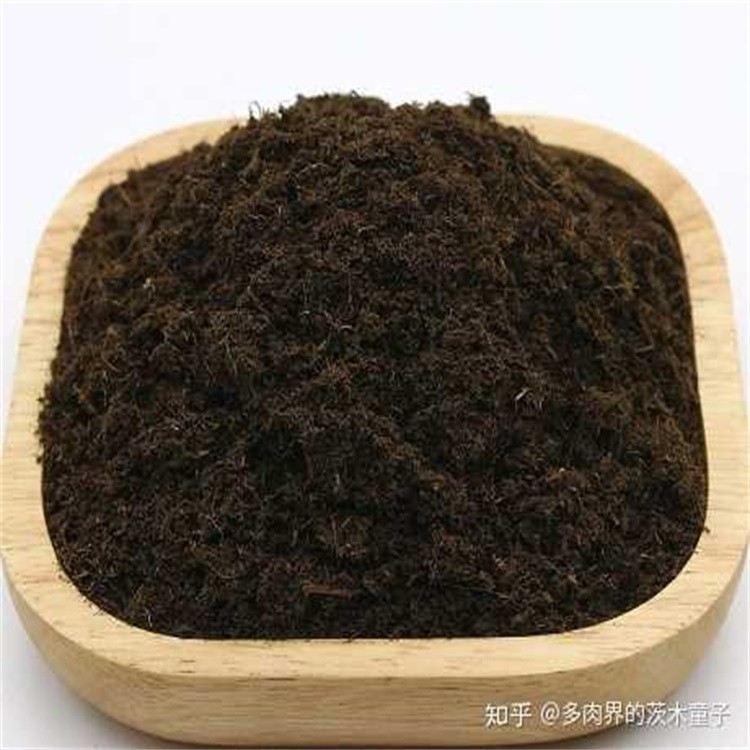 【2025封城最新消息今天,2025封城最新消息今天新闻】