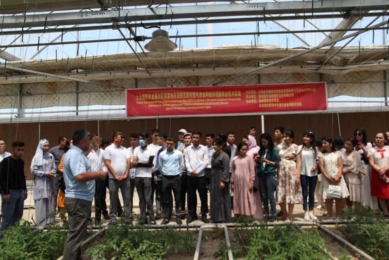 【新冠到底是人为还是自然,新冠是自然的还是人为的】