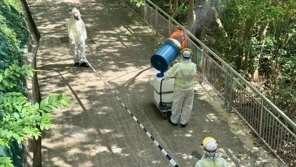 广东基孔肯尼亚热最新消息/基孔肯尼亚病毒图片