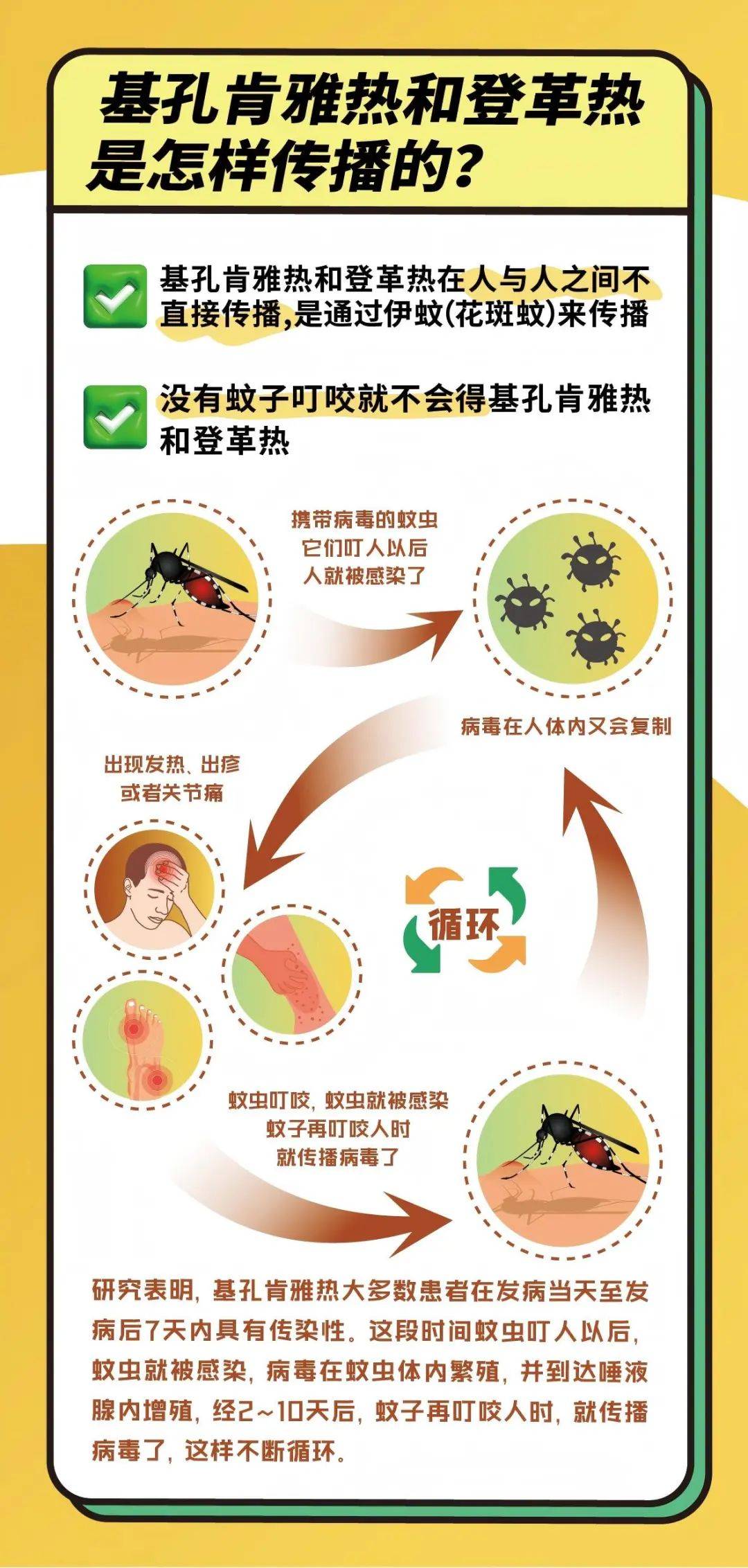 【基孔肯尼亚热潜伏期几天/基孔肯尼亚与登革热】