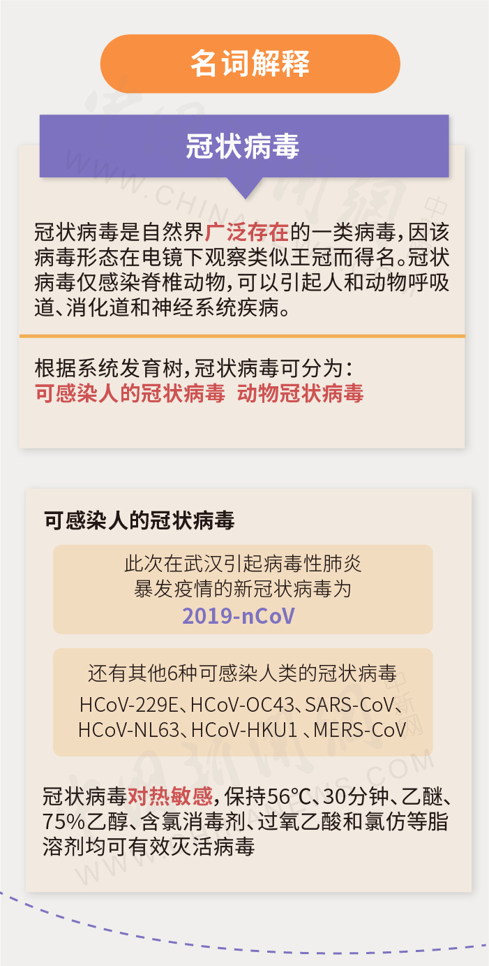 【新冠肺炎疫情百科,新冠病毒疫情百科】