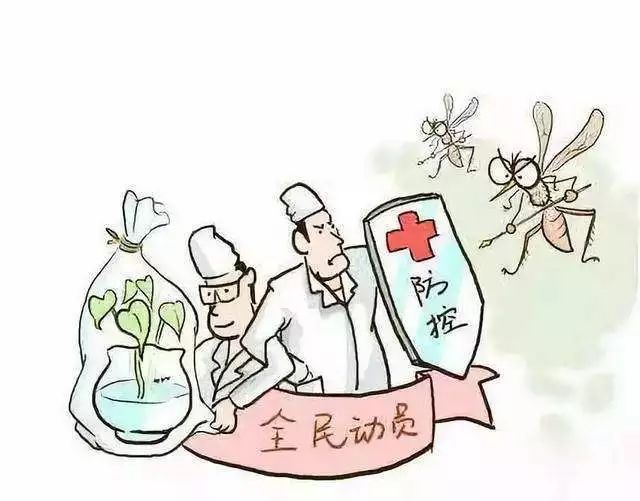 基孔肯尼亚热症状会传染吗:基孔肯尼亚与登革热