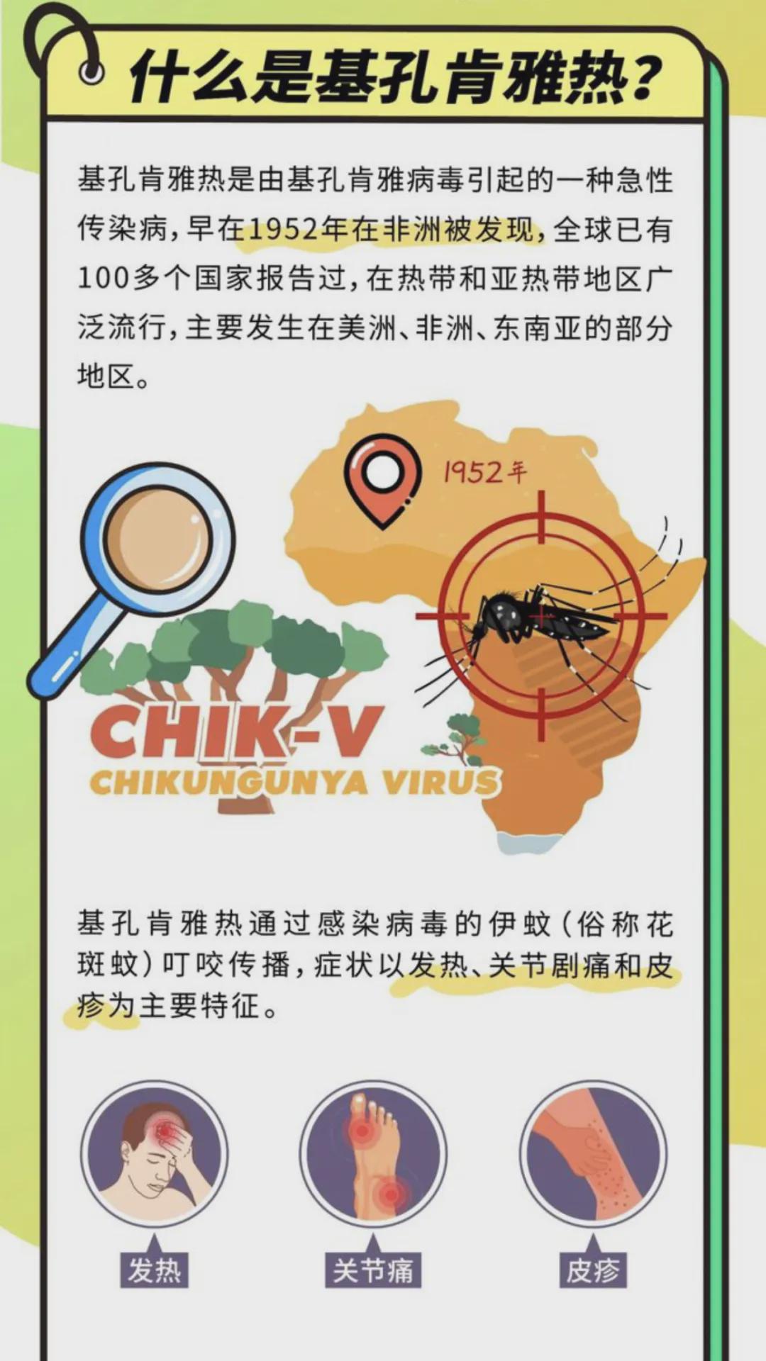 【广东基孔肯雅热升级,基孔肯尼亚热】