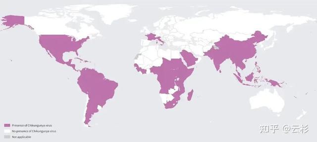 广州市有新基孔肯雅热疫情吗的简单介绍 广州市有新基孔肯雅热疫情吗的简单介绍