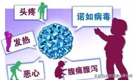 【基孔肯尼亚与登革热有什么区别,基孔肯尼亚病毒图片】