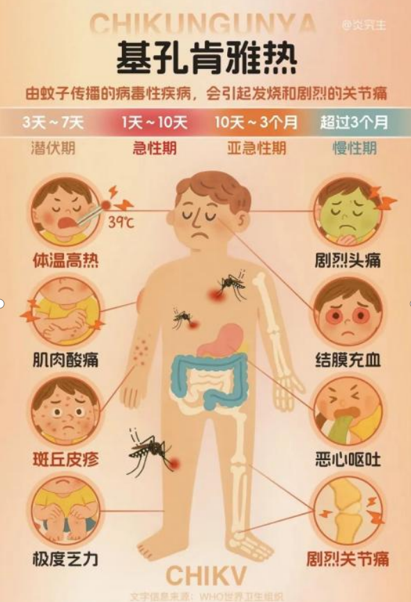 基孔肯尼亚热预防控制技术指南/基孔肯尼亚病毒图片