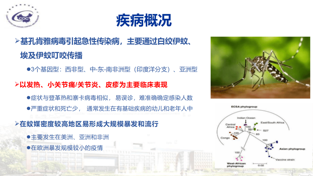 基孔肯尼亚热预防控制技术指南/基孔肯尼亚病毒图片