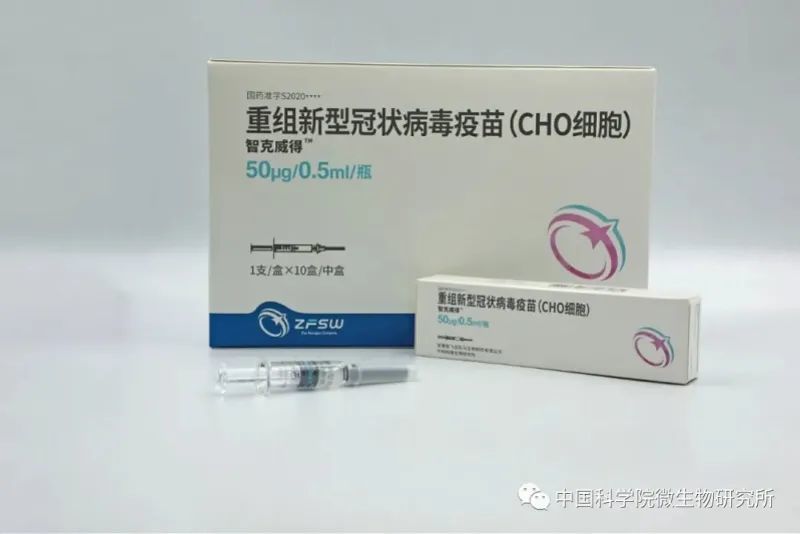 新冠病毒/新冠病毒吃什么药治疗效果好