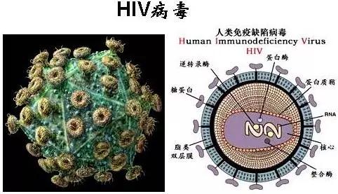 【下一年有病毒吗/下一次病毒会在什么时候】