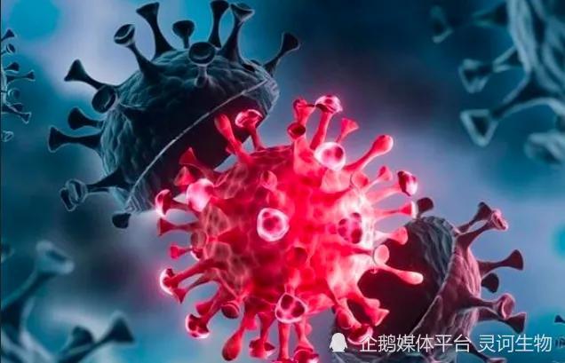 中国3年疫情是哪三年/中国3年疫情是哪三年爆发的