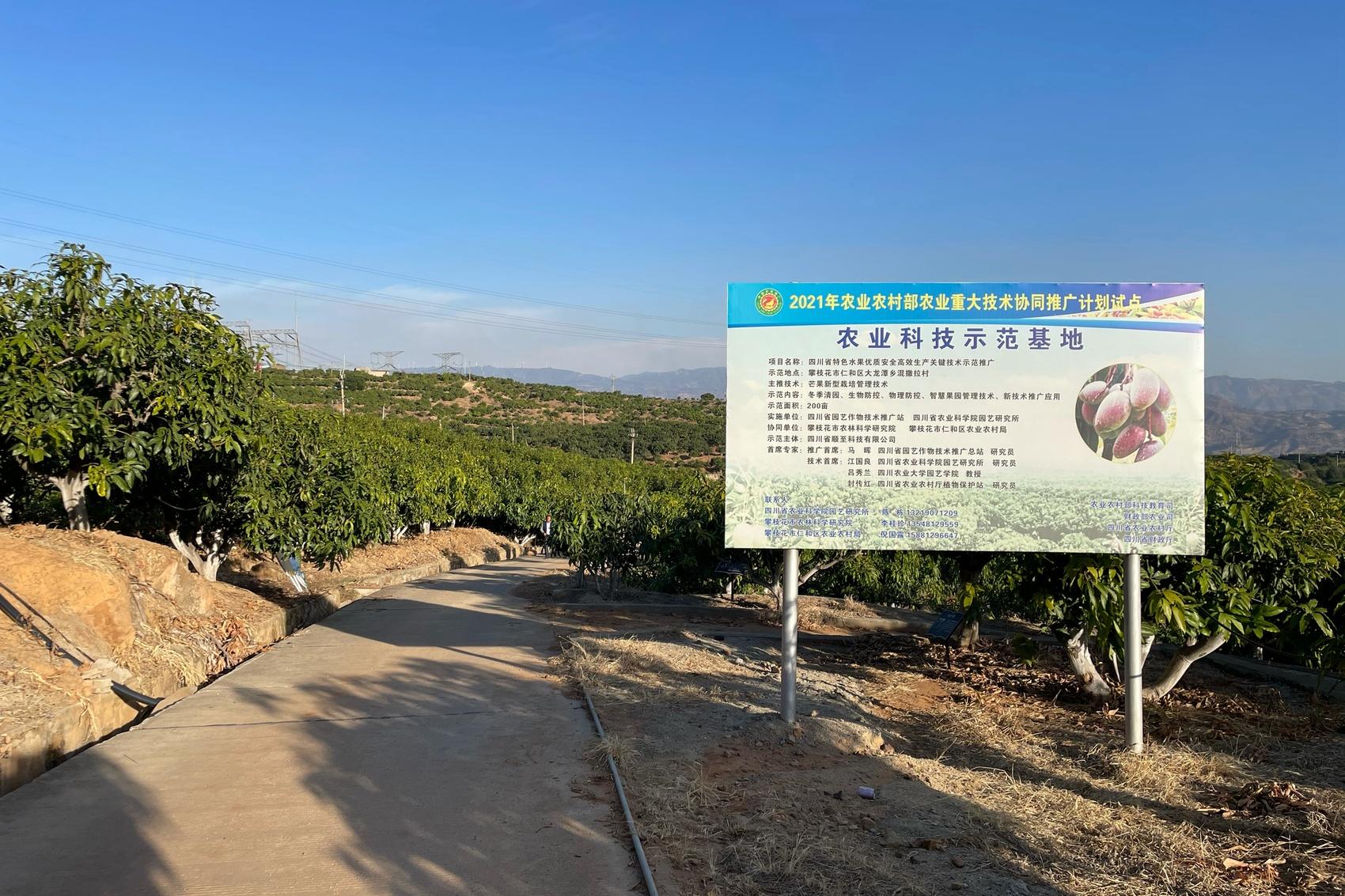 广东肯孔基亚热分布（广东肯孔基亚热分布图）