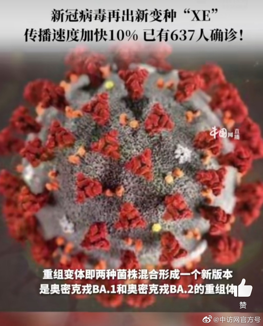 【新冠病毒最新消息,国内新冠病毒最新消息】