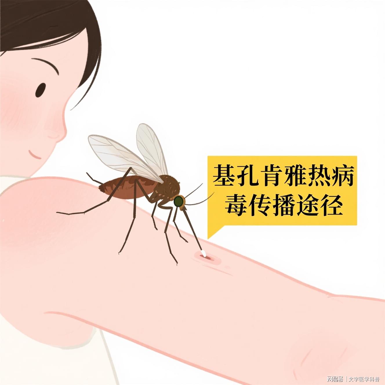 【基孔肯尼亚热症状,基孔肯尼亚热症状图片】