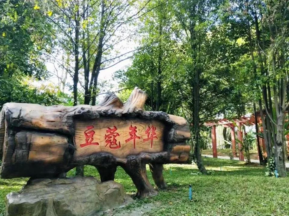 美国2025最新一轮病毒:2021美国病毒