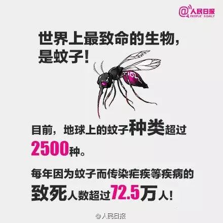 广东蚊子传染病毒死亡人数（广东蚊子传染病毒死亡人数最新）