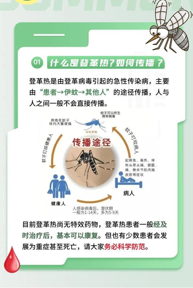 登革热疫情最新消息2025/登革热疫情最新消息2024