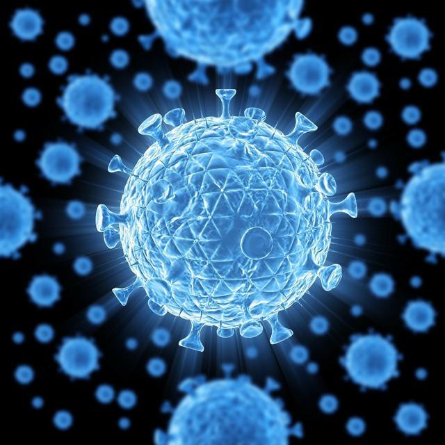 广东蚊子传染病:广东蚊子传染病什么症状